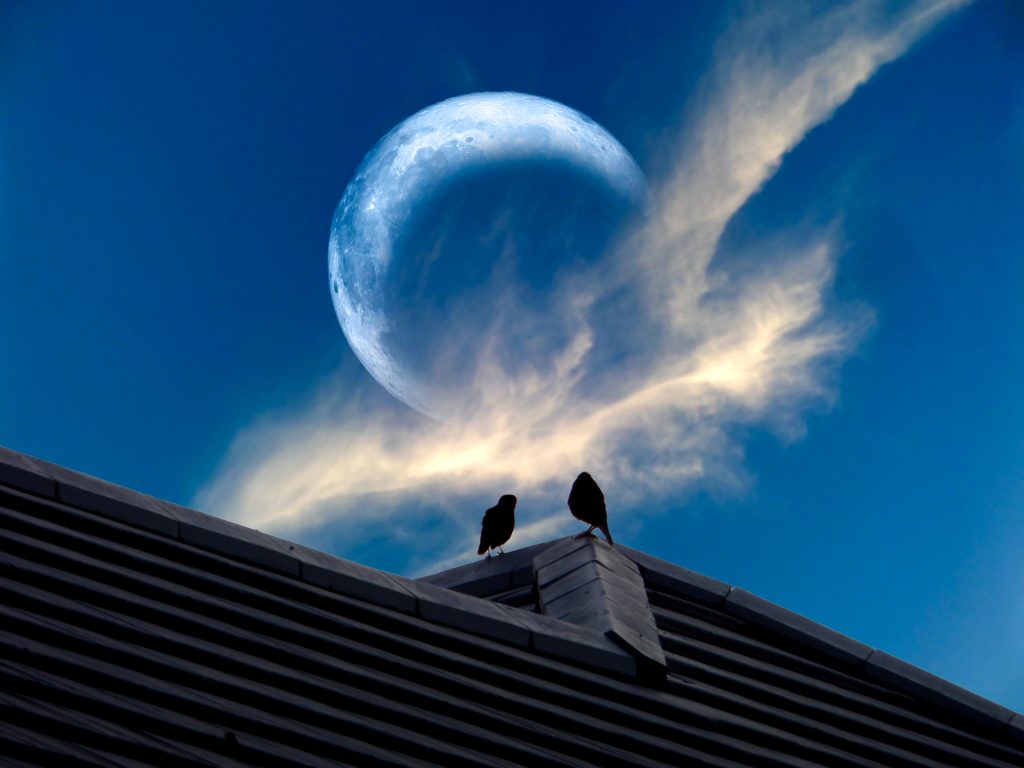 The Lunar Eclipse in Capricorn on 5 July 2020 - The Highgate Astrologer